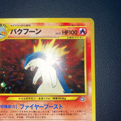 Pokemon Typhlosion — Japanese