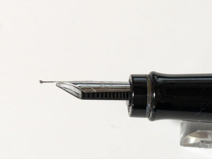 WATERMAN Expert fountain pen with extra fine steel nib in matte black with converter and box
