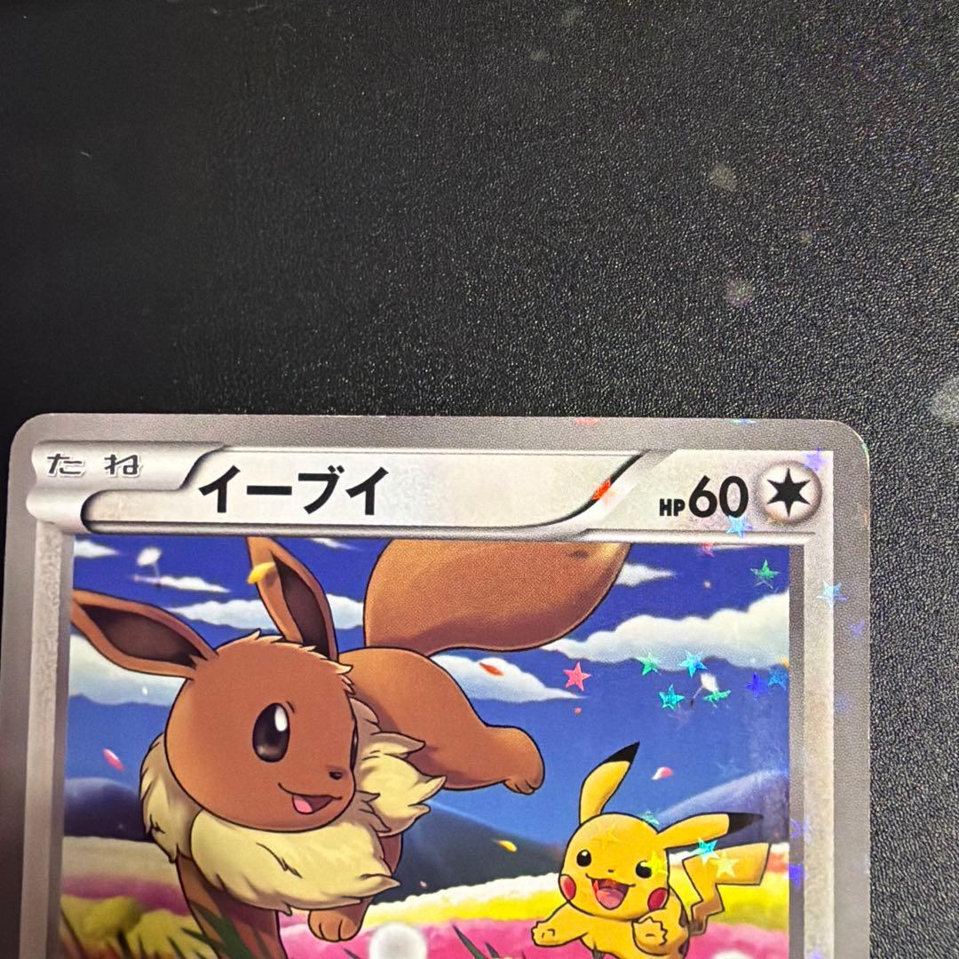 Pokemon Eevee — BW-P Promo Card 235/BW-P — Japanese