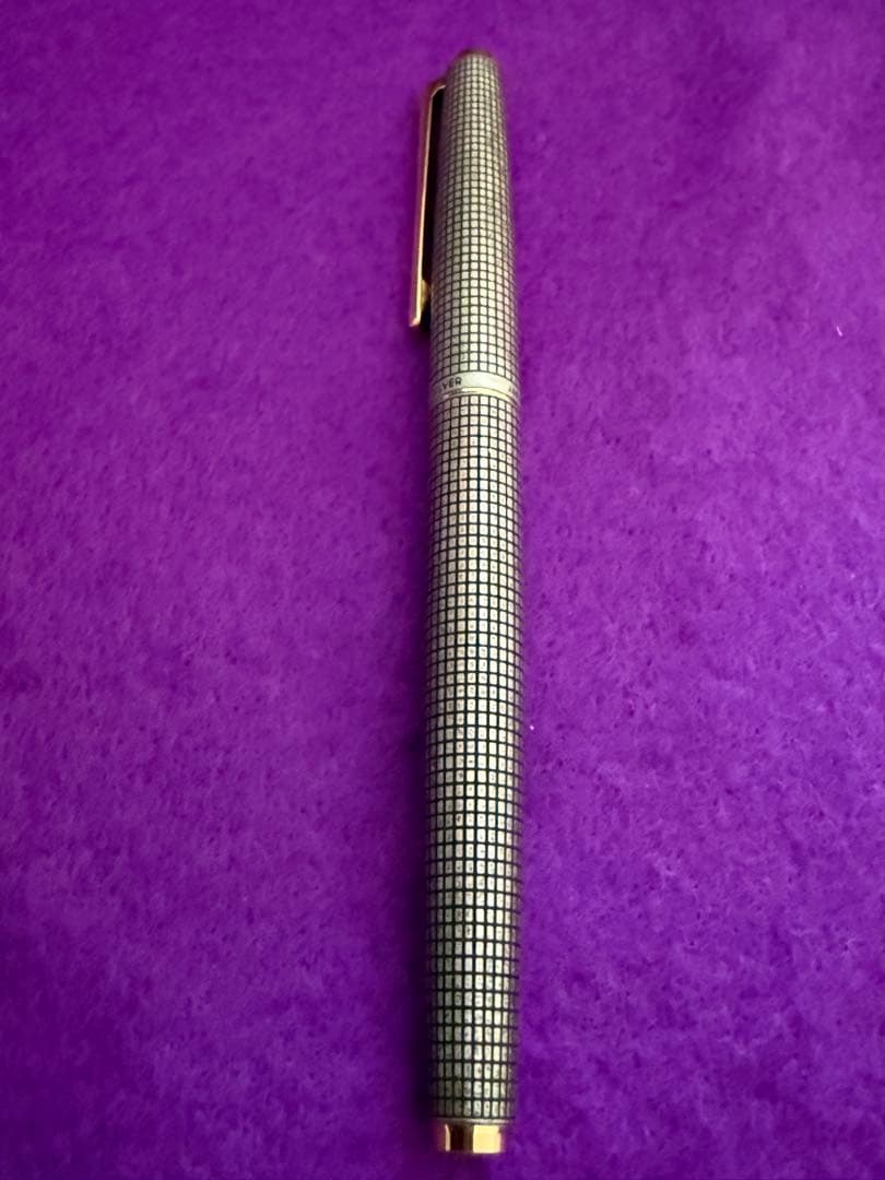 PILOT silver fountain pen with metallic lattice pattern and included dedicated case on white background
