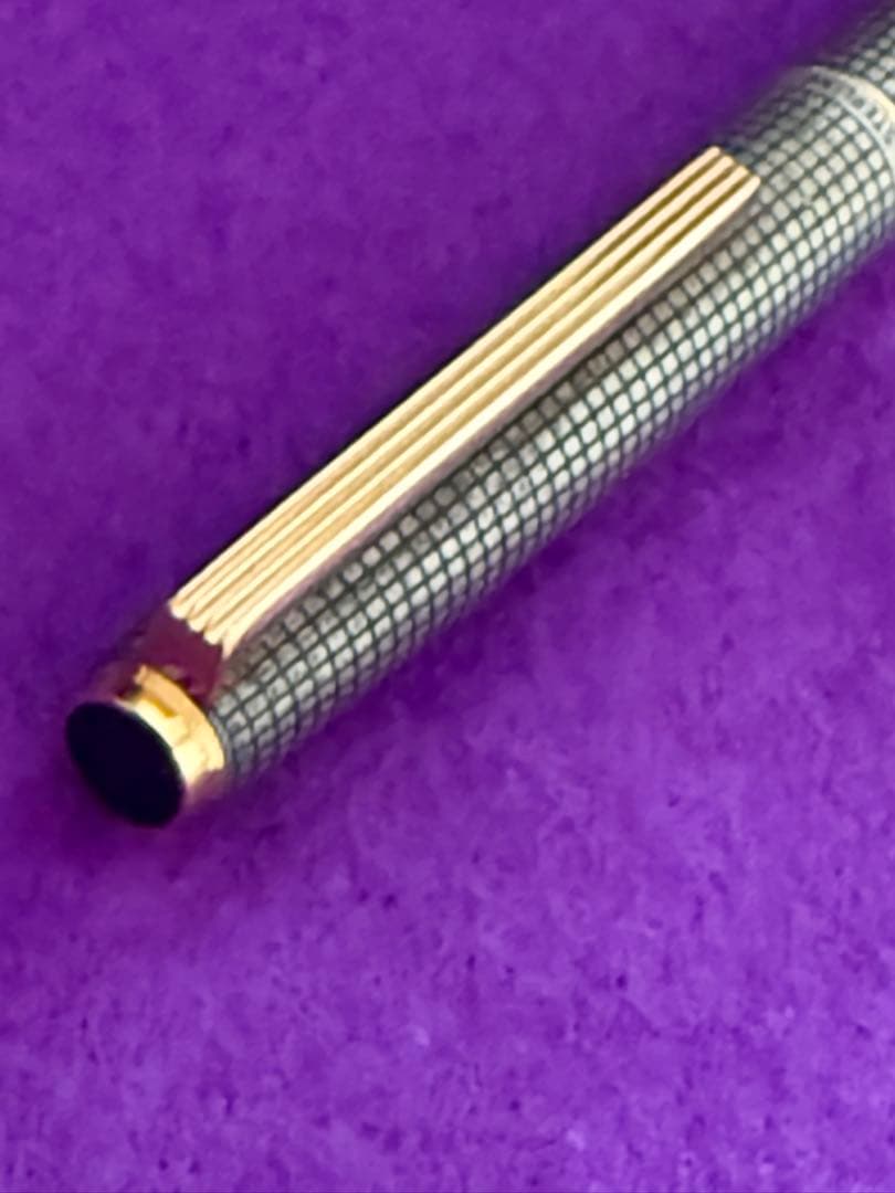 PILOT silver fountain pen with metallic lattice pattern and included dedicated case on white background
