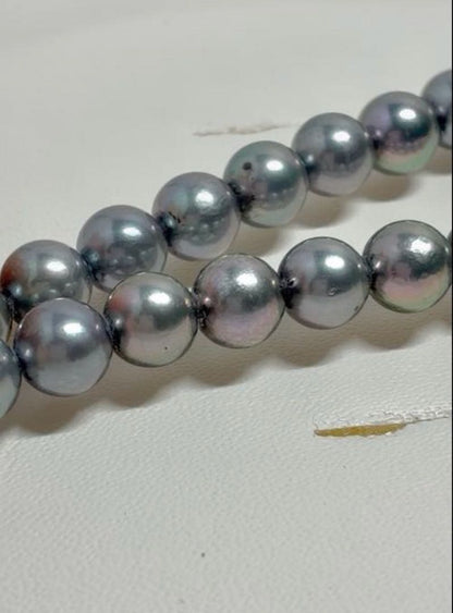 Akoya pearl necklace with 7.0-7.5mm pearls and 42cm length shown on white background