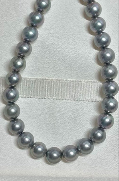 Akoya pearl necklace with 7.0-7.5mm pearls and 42cm length shown on white background