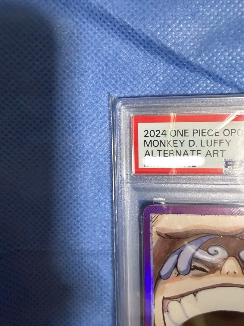 PSA 10 One Piece Luffy L — Japanese