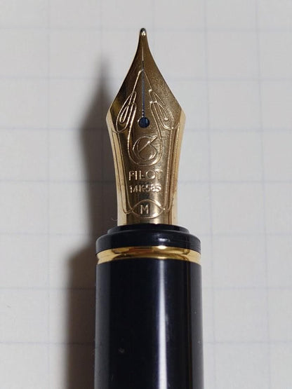 Kyoku-bi Hin Pilot Gransee gray marble fountain pen with 14K gold medium nib on white background