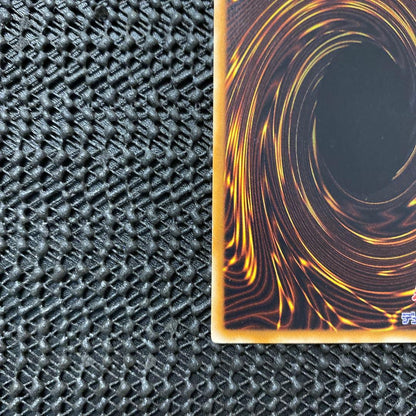 Yu-Gi-Oh Black Rose Dragon CSOC — CSOC-JP039 — Japanese