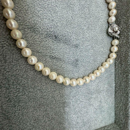 Short Akoya pearl necklace with 8mm white pearls on a white background