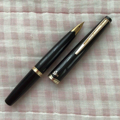 Pilot 14K gold fountain pen Elite model, short size, fine point tip, discontinued edition
