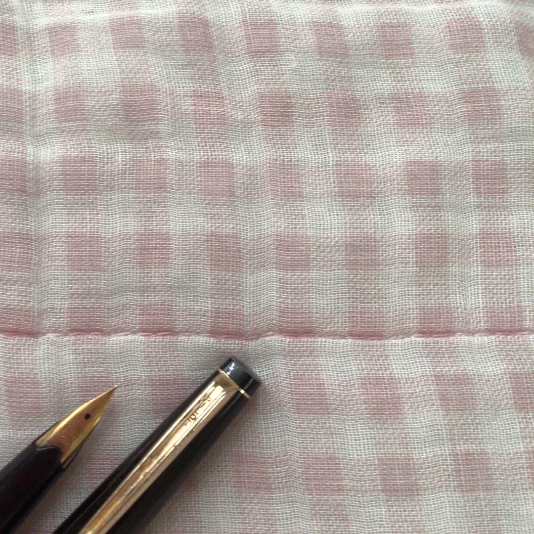 Pilot 14K gold fountain pen Elite model, short size, fine point tip, discontinued edition