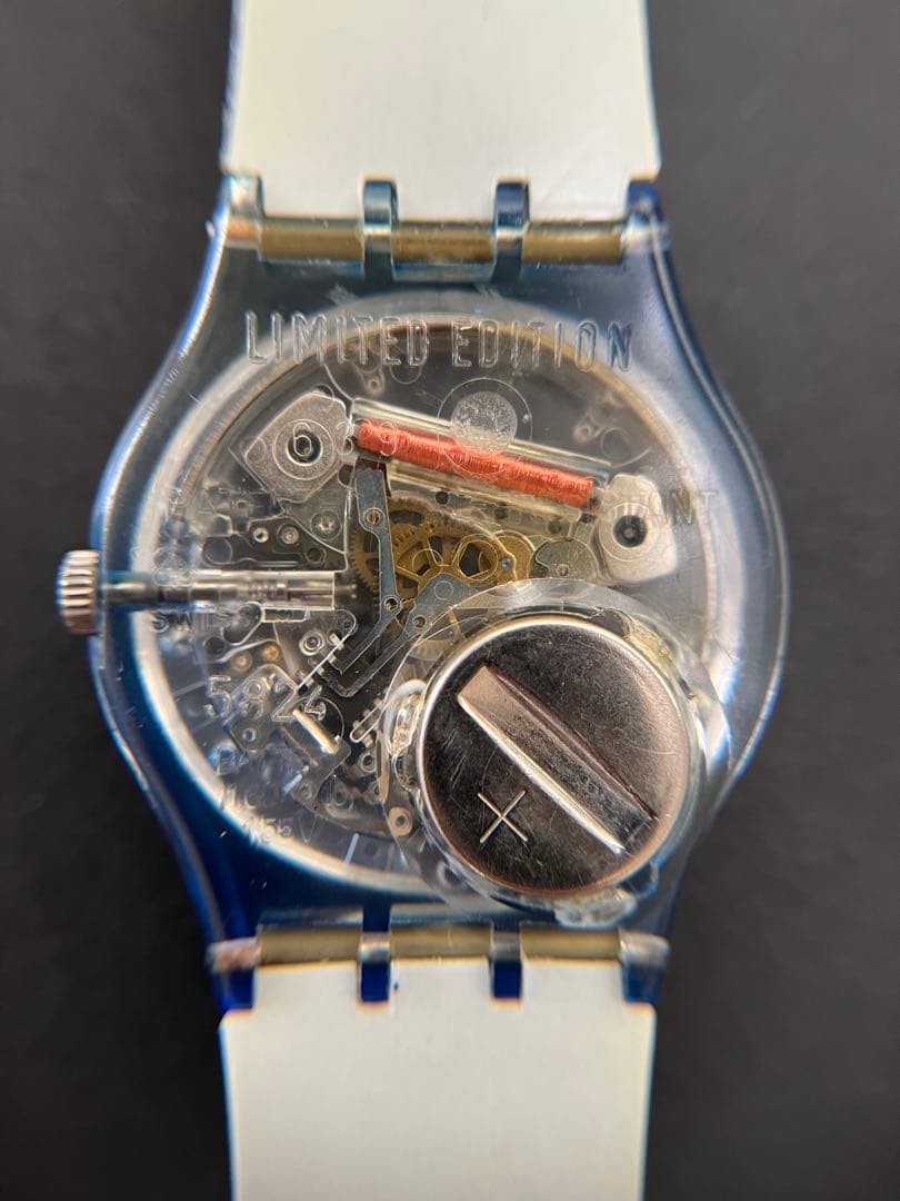 swatch Tempo naturale 限定スウォッチ 1996年 Quartz Men's — Japanese
