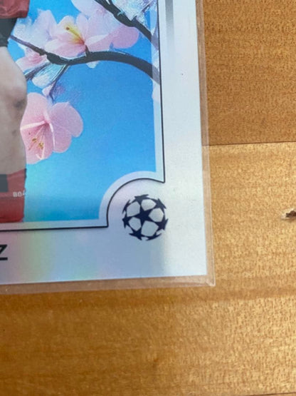 Wilt Sakura Parallel — Japanese