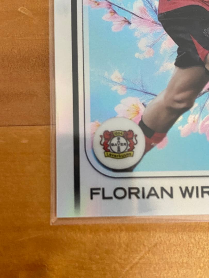 Wilt Sakura Parallel — Japanese