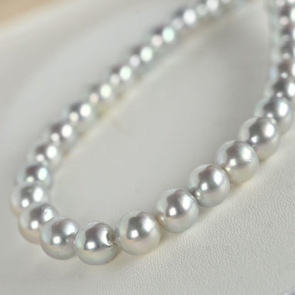 Tossaki Akoya pearl necklace featuring 7-7.5mm round pearls with silver clasp on a 42cm strand