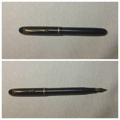 Pilot fountain pen with vintage 14K gold nib displayed on white background
