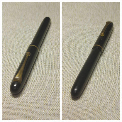 Pilot fountain pen with vintage 14K gold nib displayed on white background
