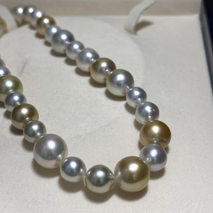 White butterfly pearl multi-color necklace with pearls sized 9.3-13.5 mm and silver clasp on display