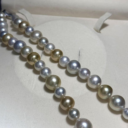 White butterfly pearl multi-color necklace with pearls sized 9.3-13.5 mm and silver clasp on display