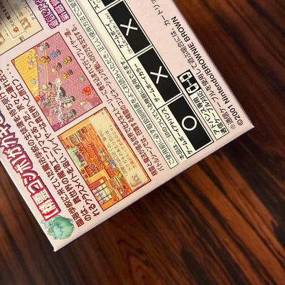 Game Boy Advance Magical Vacation cartridge with original box in beautiful condition as shown