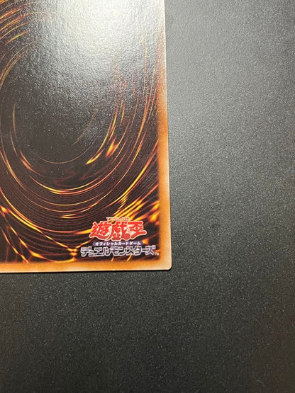 Yu-Gi-Oh Black Rose Dragon — Japanese