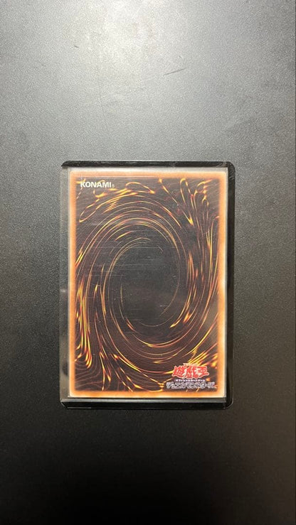 Yu-Gi-Oh Black Rose Dragon — Japanese