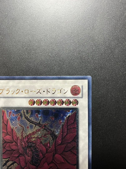 Yu-Gi-Oh Black Rose Dragon — Japanese