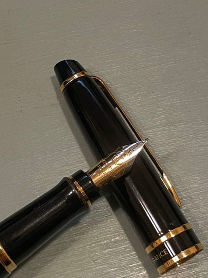WATERMAN Expert fountain pen in black resin with gold decorative elements and engraved branding