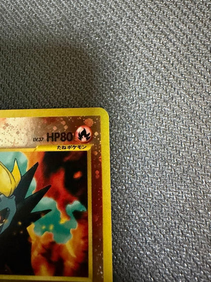 Pokemon Entei — 7/26 — Japanese