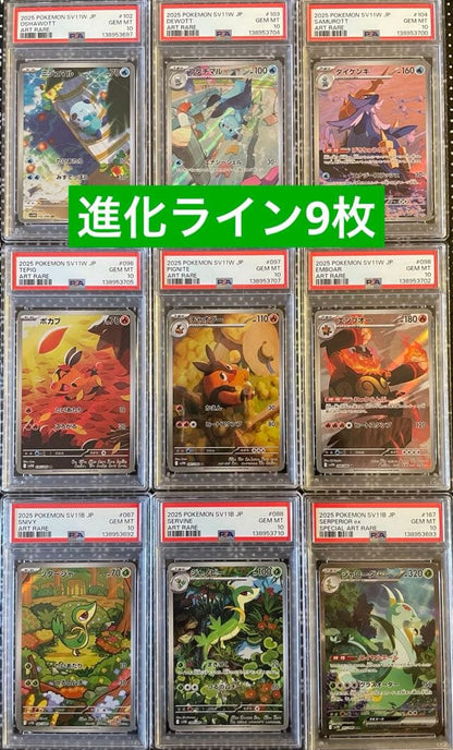 PSA 10 Pokemon Serperior ex — Japanese