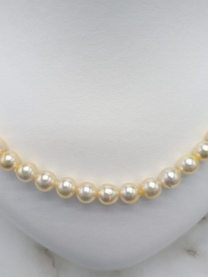 Akoya cultured pearl necklace 7-7.5mm champagne tone with silver fitting, 42.7cm length