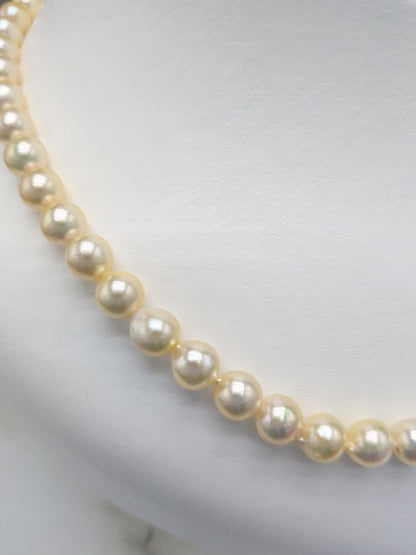 Akoya cultured pearl necklace 7-7.5mm champagne tone with silver fitting, 42.7cm length