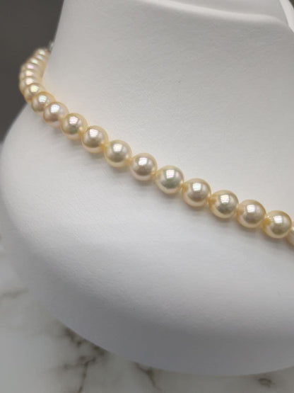 Akoya cultured pearl necklace 7-7.5mm champagne tone with silver fitting, 42.7cm length