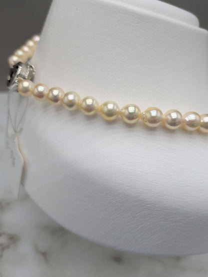 Akoya cultured pearl necklace 7-7.5mm champagne tone with silver fitting, 42.7cm length