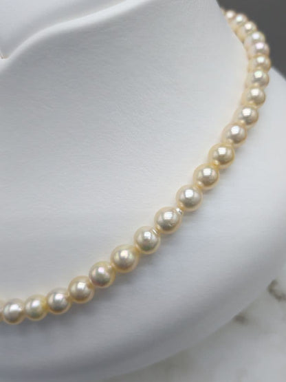 Akoya cultured pearl necklace 7-7.5mm champagne tone with silver fitting, 42.7cm length