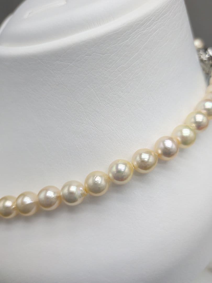 Akoya cultured pearl necklace 7-7.5mm champagne tone with silver fitting, 42.7cm length