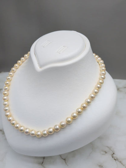 Akoya cultured pearl necklace 7-7.5mm champagne tone with silver fitting, 42.7cm length