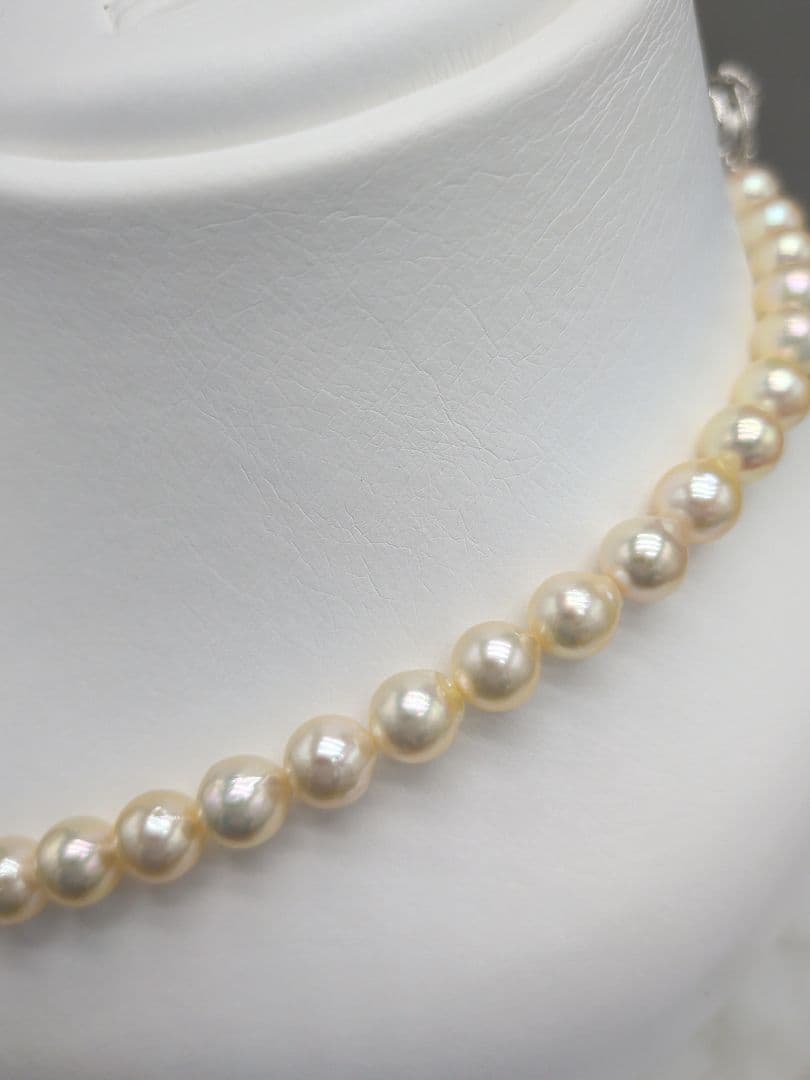 Akoya cultured pearl necklace 7-7.5mm champagne tone with silver fitting, 42.7cm length