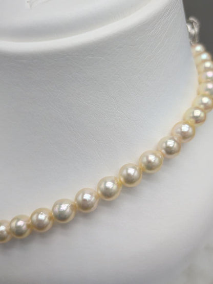 Akoya cultured pearl necklace 7-7.5mm champagne tone with silver fitting, 42.7cm length