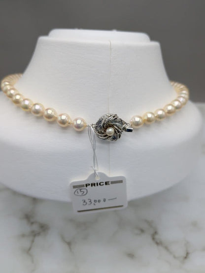 Akoya cultured pearl necklace 7-7.5mm champagne tone with silver fitting, 42.7cm length