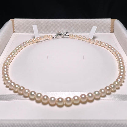 Akoya pearl necklace with 6.0-6.4mm round white pearls on a 42.2 cm silver chain