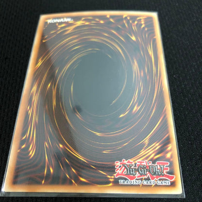 Yu-Gi-Oh Trident Dragion — English