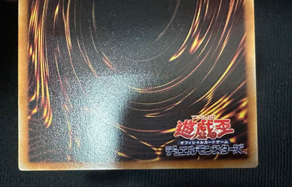 Yu-Gi-Oh Black Rose Dragon — Japanese