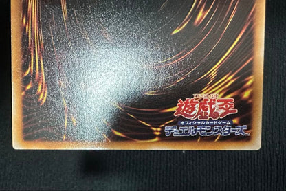 Yu-Gi-Oh Black Rose Dragon — Japanese