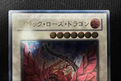 Yu-Gi-Oh Black Rose Dragon — Japanese