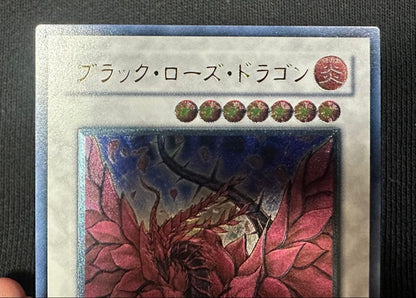 Yu-Gi-Oh Black Rose Dragon — Japanese