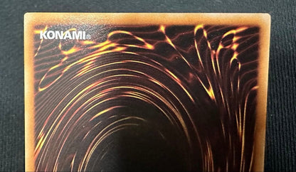 Yu-Gi-Oh Black Rose Dragon — Japanese