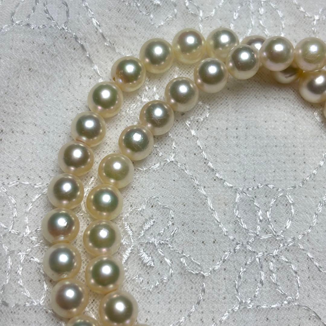 Close-up view of Law measuring 43 cm length and 6.5-7.0 mm diameter