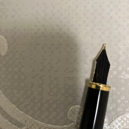 PILOT CUSTOM Fountain Pen 14K585 with medium 14K gold nib and slim gold-accented body
