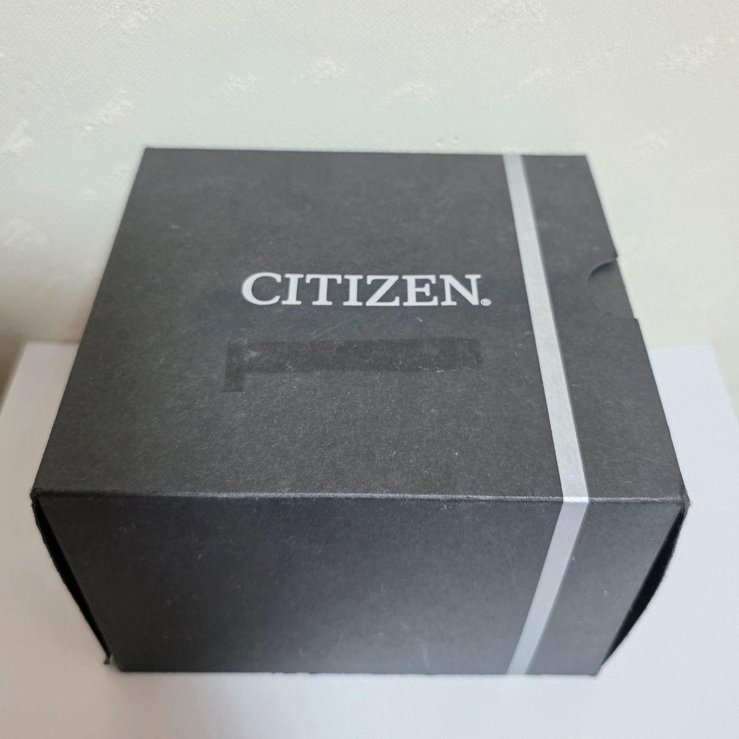Citizen EcoDrive Solar Men's Watch — Japanese