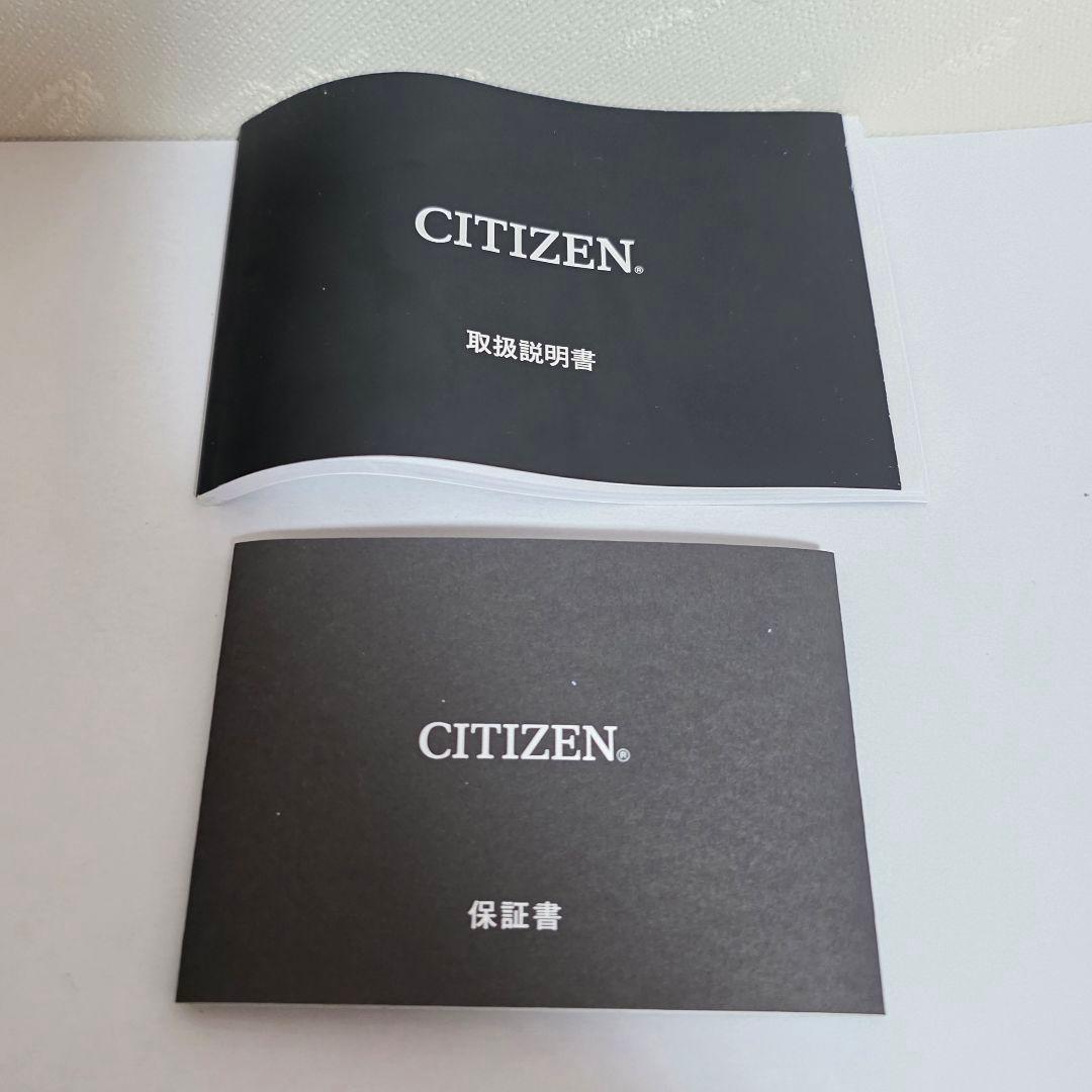 Citizen EcoDrive Solar Men's Watch — Japanese