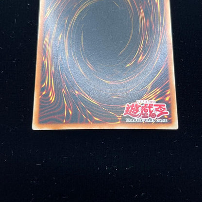 Yu-Gi-Oh Monster Reborn — Japanese